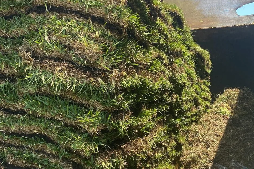 Fresh sod rolls staged for installation by Martin's Tree Solution in Miami-Dade.