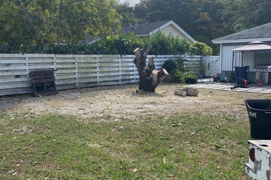 A Miami-Dade yard cleared after Martin's Tree Solution ground down the stump below grade.